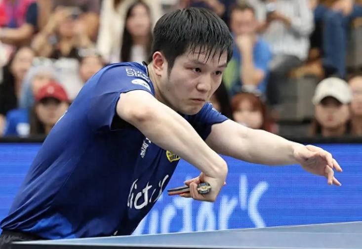 恭喜樊振东再添两场胜利，新年保持不败，德甲联赛持续碾压对手